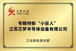 2024年專精特新“小巨人”